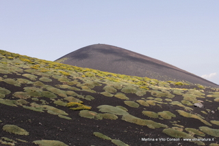rra delle Concazze-05-08-2014 15-14-03